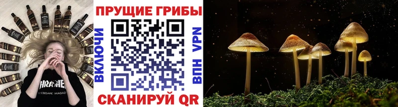 Псилоцибиновые грибы ЛСД  купить  сайты  Пущино 